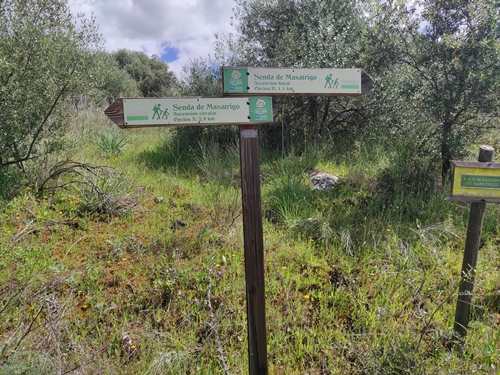 Rehabilitacion Cerro Masatrigo 01