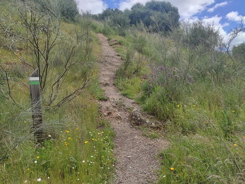 Rehabilitacion Cerro Masatrigo 02