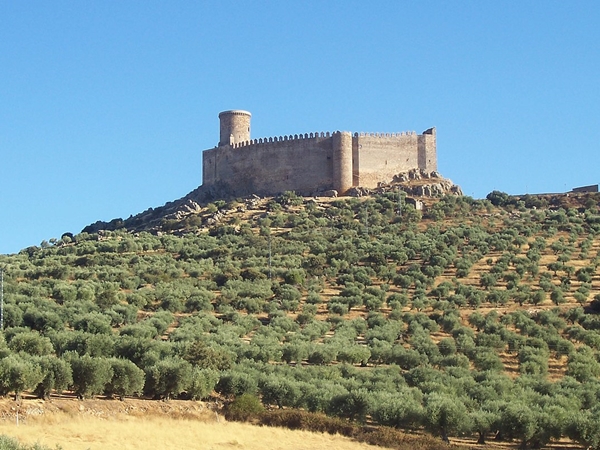 Castillo de Puebla de Alcocer 1