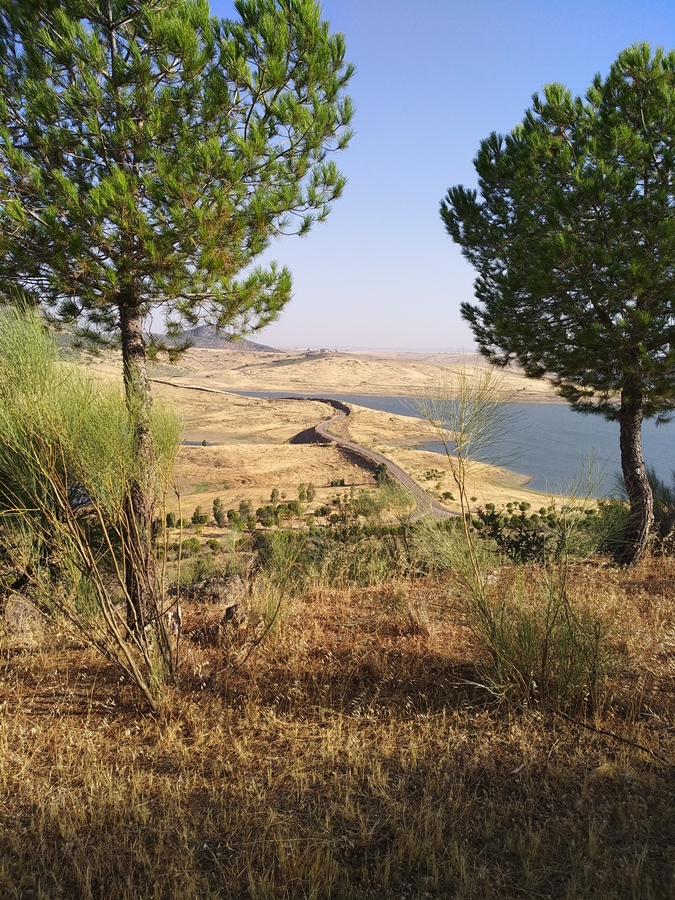 Subida al cerro masatrigo 05