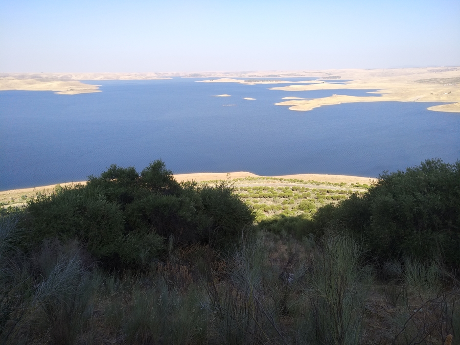 Subida al cerro masatrigo 07