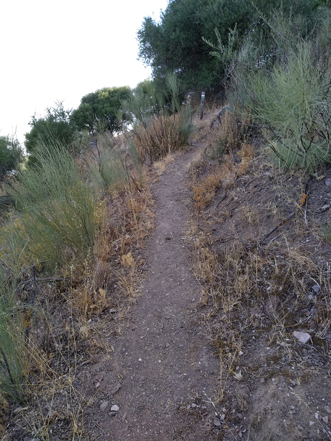 Subida al cerro masatrigo 08
