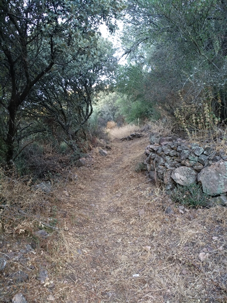 Caminata sierra esparragosa 11