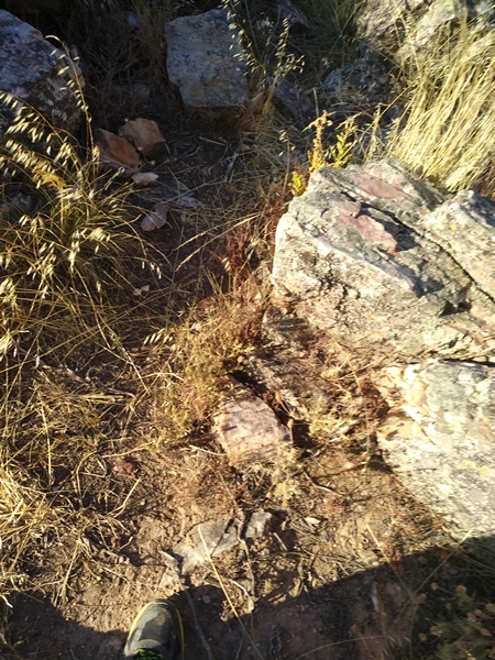 Caminata sierra esparragosa 28