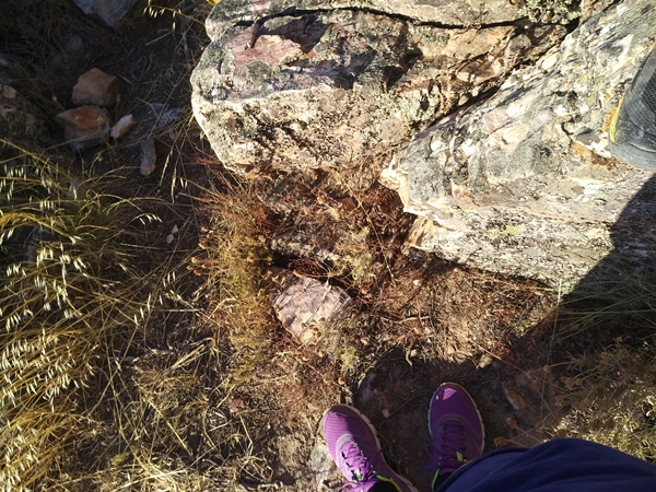 Caminata sierra esparragosa 33