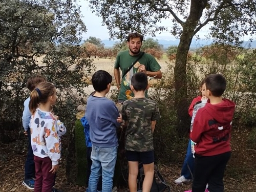Actividades para realizar en el entorno del Cerro Masatrigo