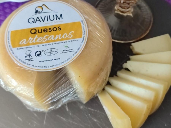 Quesos recién prensados en la quesería