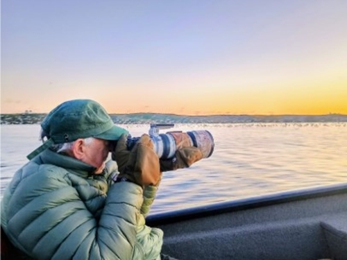 Fotografía fauna desde barca en pantano