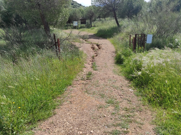 Senderismo Cerro Masatrigo 01