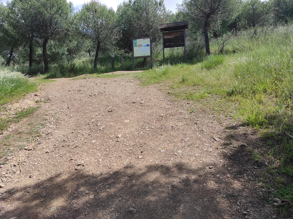 Senderismo Cerro Masatrigo 02