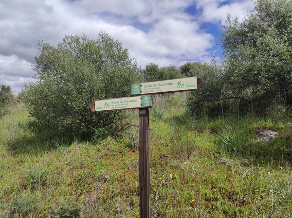 Senderismo Cerro Masatrigo 115