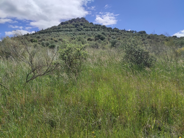 Senderismo Cerro Masatrigo 14
