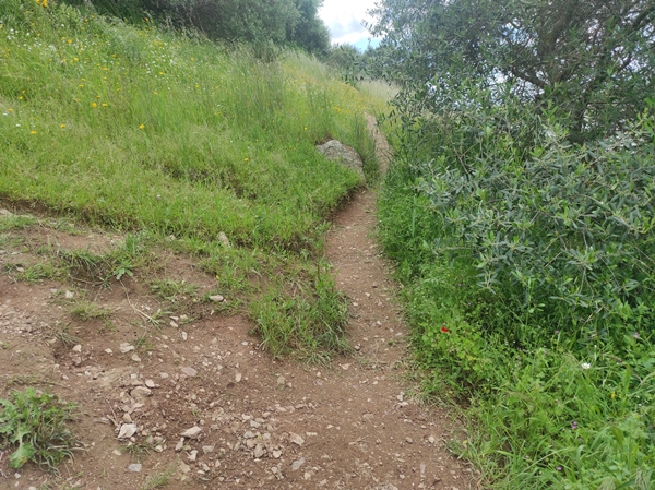 Senderismo Cerro Masatrigo 165