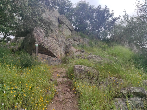 Senderismo Cerro Masatrigo 205