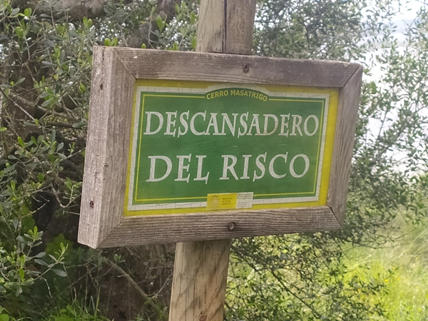 Senderismo Cerro Masatrigo 224
