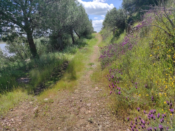 Senderismo Cerro Masatrigo 48