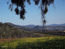 Imágenes del Cerro Masatrigo